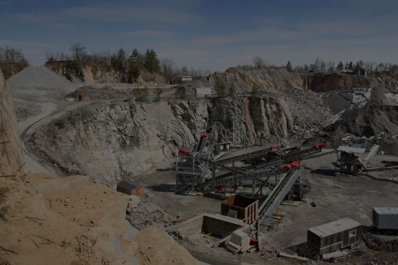 cash-global-profile-6